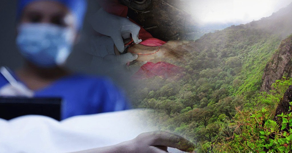 ග්‍රේට් වෙස්ටර්න්දී මි,යගිය කාන්තාව ගැන තවත් ප්‍රබල සාක්ෂියක් හමුවෙයි.