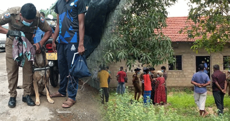ගමක් කම්පා කල අද අහන්න ලැබුන දුක්බර කතාවක්. මේ නොතේරෙන කිරි සප්පයන් කුමක්ද කල වරද..?