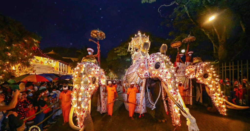 නුවර පෙරහර බලන අයට පොලිසියෙන් අවවාදයක්.