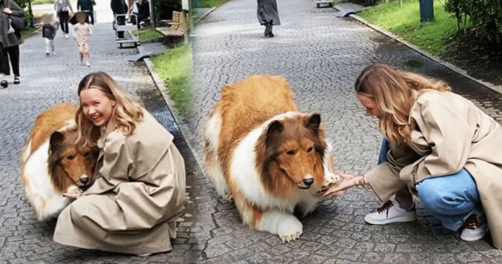 මේ බල්ලෙක් වෙන්න දඟලන කොල්ලෙක් ගැන ඇහෙන අමුතුම කතාවක්.