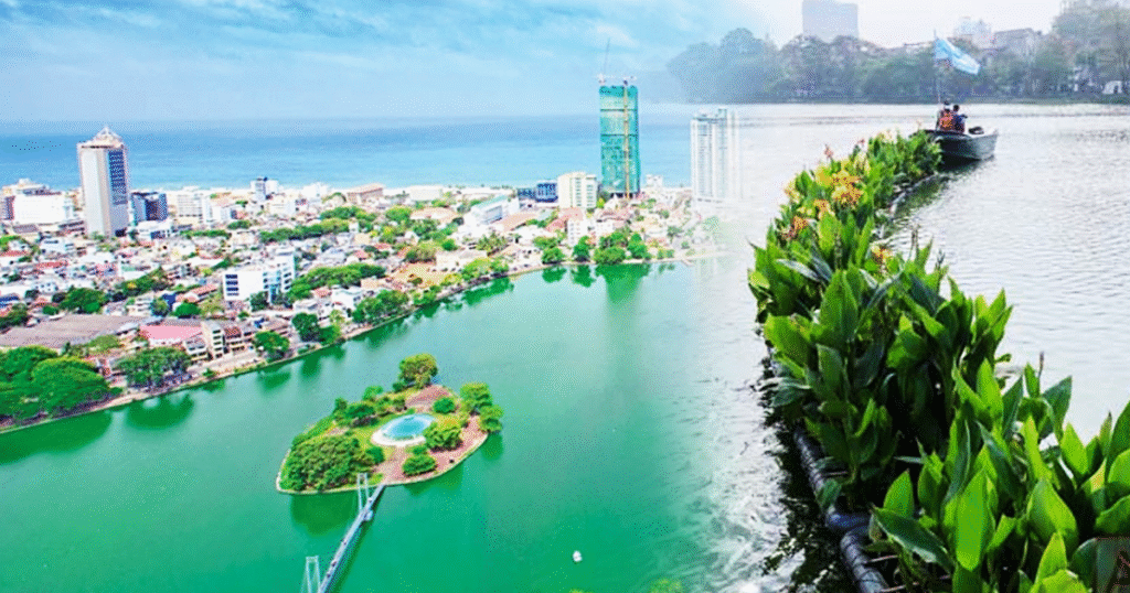 බේරේ වැව සුවඳ කරන්න සමාගමකට දෙයි.