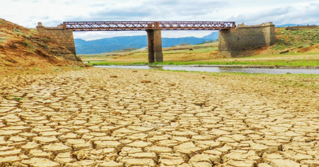 වියළි කාලගුණය හමුවේ විදුලිය නිෂ්පාදනය ගැන අනාවැකියක්.