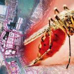 ඩෙංගු රෝගීන්ගේ ගැන ආන්දෝලනාත්මක හෙළිදරවුවක්.