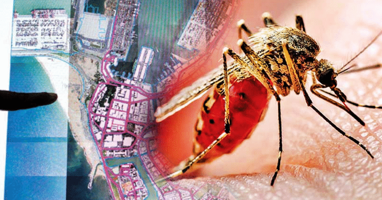 ඩෙංගු රෝගීන්ගේ ගැන ආන්දෝලනාත්මක හෙළිදරවුවක්.